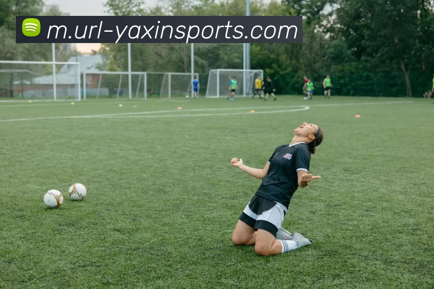 亚新体育APP 封面图