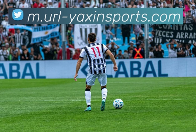 数据防护可视化